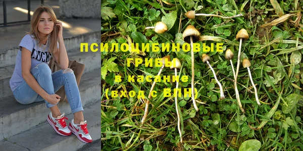 шишки Абдулино