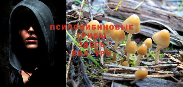 крисы Алексеевка