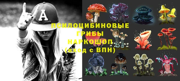 a pvp Алзамай