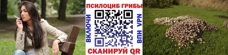 Псилоцибиновые грибы MAGIC MUSHROOMS  продажа наркотиков  Шахунья 