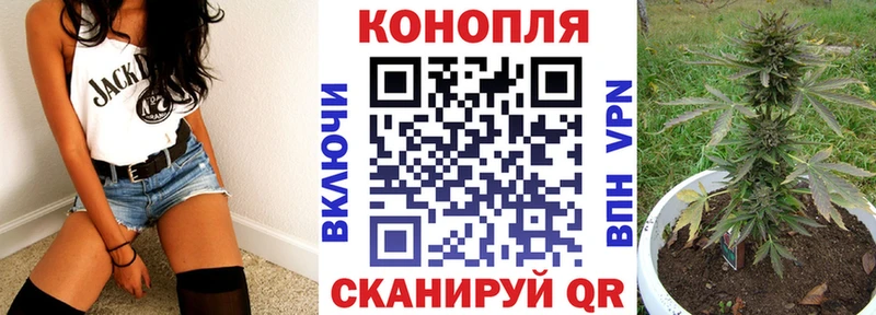 Бошки Шишки ГИДРОПОН  Шахунья 